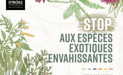 Guide des espèces exotiques envahissantes