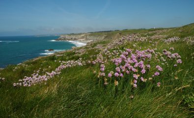 Espaces naturels et littoraux