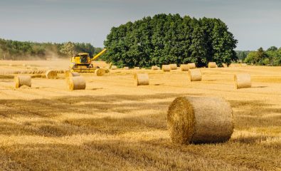 Motion de soutien à l'agriculture et à la pêche