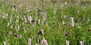 Atelier Agriculture Biodiversité