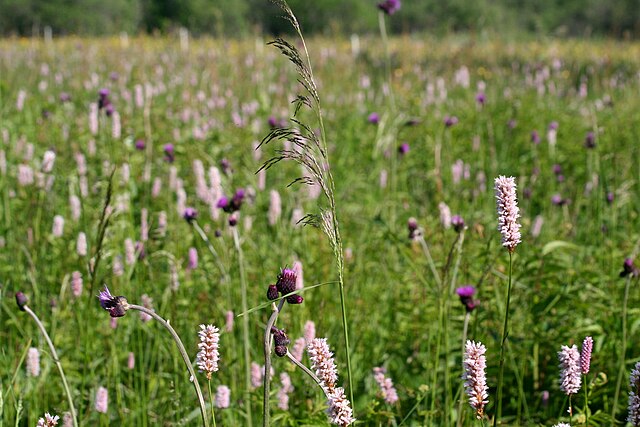 Atelier Agriculture Biodiversité