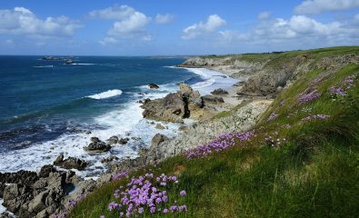 Sortie nature – Milieux et gestion du littoral sur les falaises de Corsen