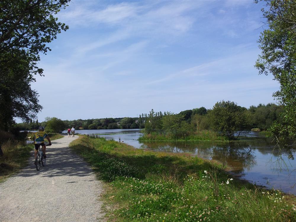 Sortie Cours D'eau Zones Humides