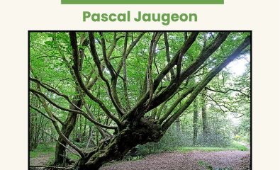 La poétique de l’arbre