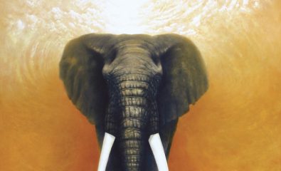 Portes ouvertes atelier d'artiste