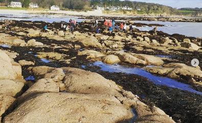 Pêche à pied au Trez-Hir