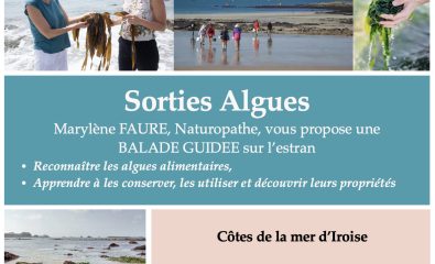 Sortie algues
