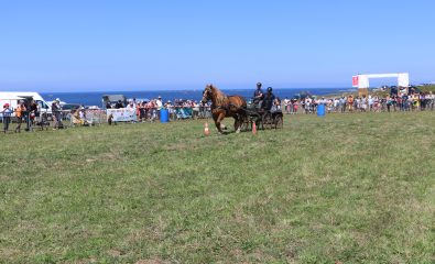 Fête du cheval de Landunvez