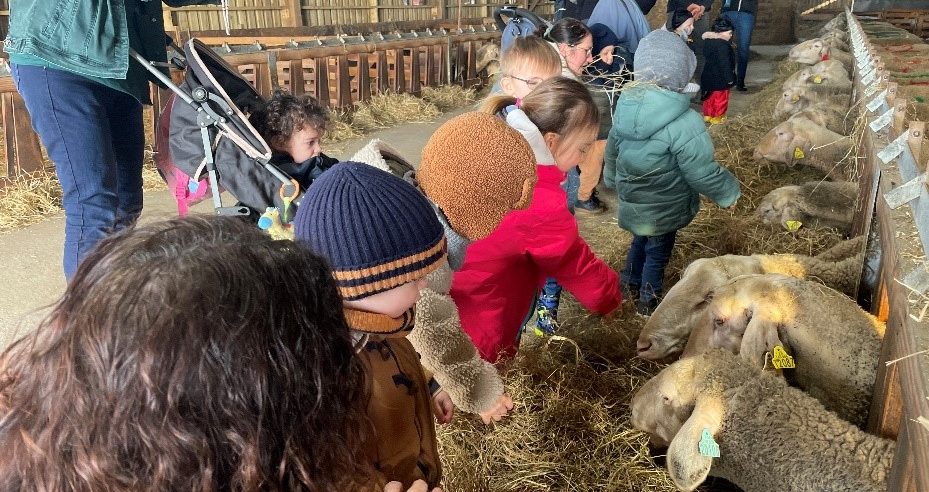 Animation mini-ferme RPE