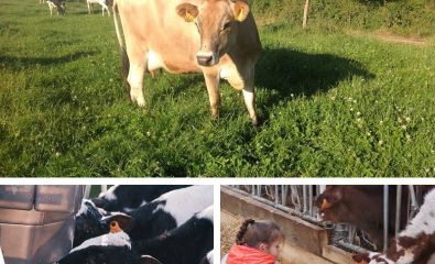 Visite de la ferme de Keroudy