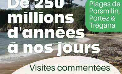 "De 250 millions d'années à nos jours"