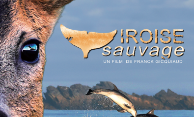 Documentaire Iroise Sauvage