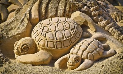 Concours de châteaux de sable