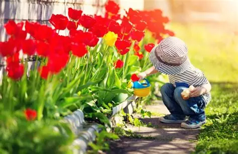 La newsletter RPE – Mai 2025