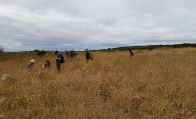 Fête de la nature - Inventorier la faune et la flore