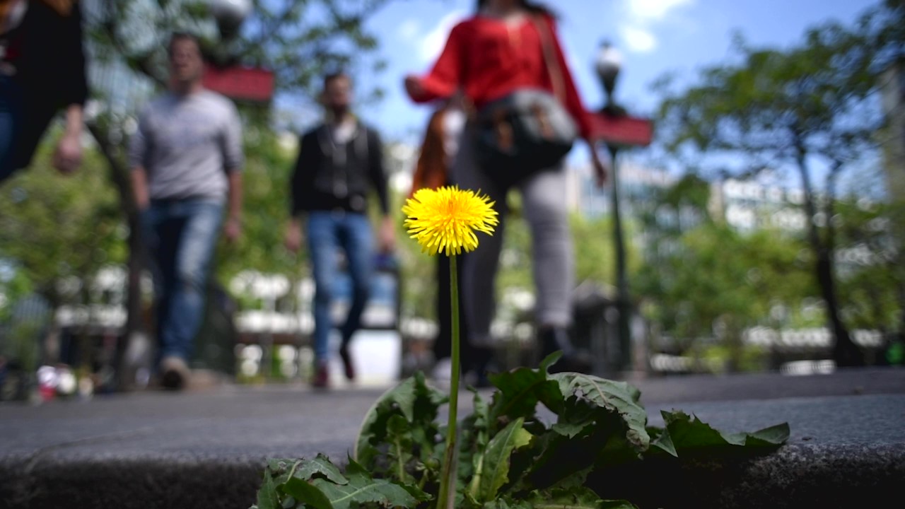 sortie botanique
