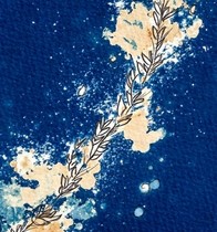Atelier cyanotype autour des ingrédients naturels