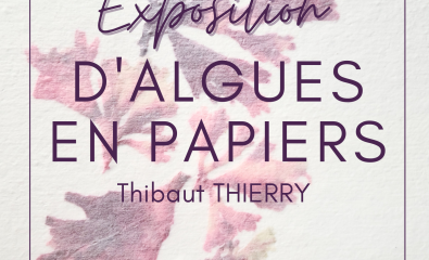 D'algues en papiers