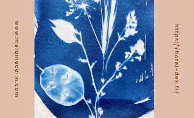 Atelier cyanotype