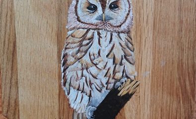 Atelier Nature - Les animaux nocturnes