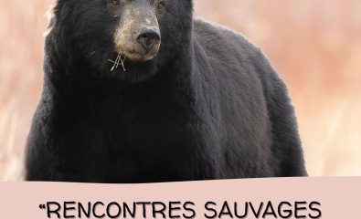 "Rencontres sauvages, d'Ici et d'ailleurs" Exposition Photographique