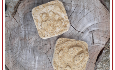 Atelier nature : les empreintes d'animaux