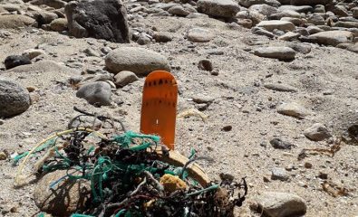 Nettoyage du littoral avec Ar Viltansoù "spécial Téléthon"