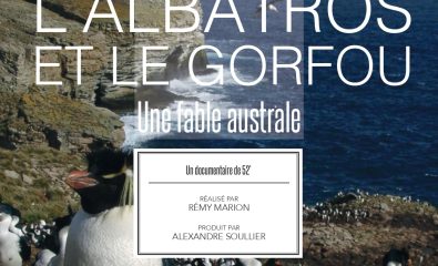 Projection du film Albatros et gorfou, une fable australe