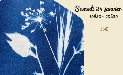 Atelier cyanotype
