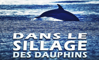 Film documentaire "Dans le sillage des dauphins"