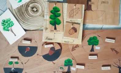 Les Mystères de la forêt