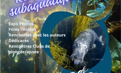 Rencontres subaquatiques