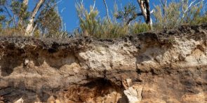 Risques littoraux : réunion d'information et d'échange du 22 janvier à Plouarzel