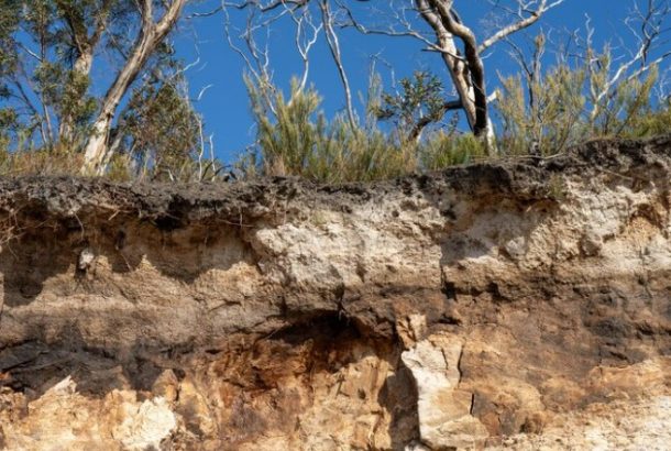 Risques littoraux : réunion d'information et d'échange le 22 janvier à Plouarzel