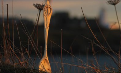 Stage Sculpture sur bois