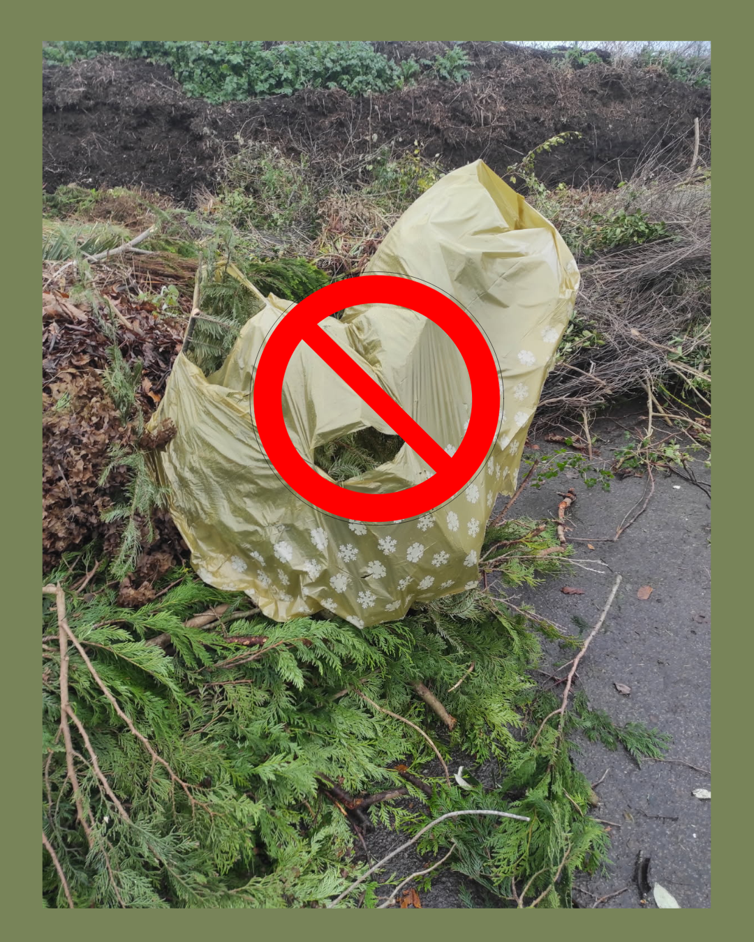 Sapin déposé en déchèterie dans son sac