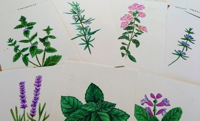 Atelier nature - magie des plantes