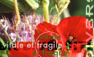 Exposition biodiversité