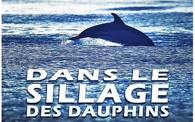 Film "Dans le sillage des dauphins"