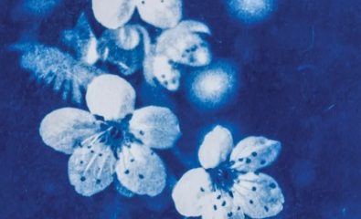 Atelier cyanotype