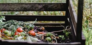 Les ressources végétales et vous : votre expérience nous intéresse !