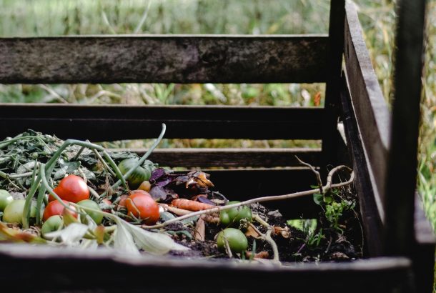 Les ressources végétales et vous : votre expérience nous intéresse !